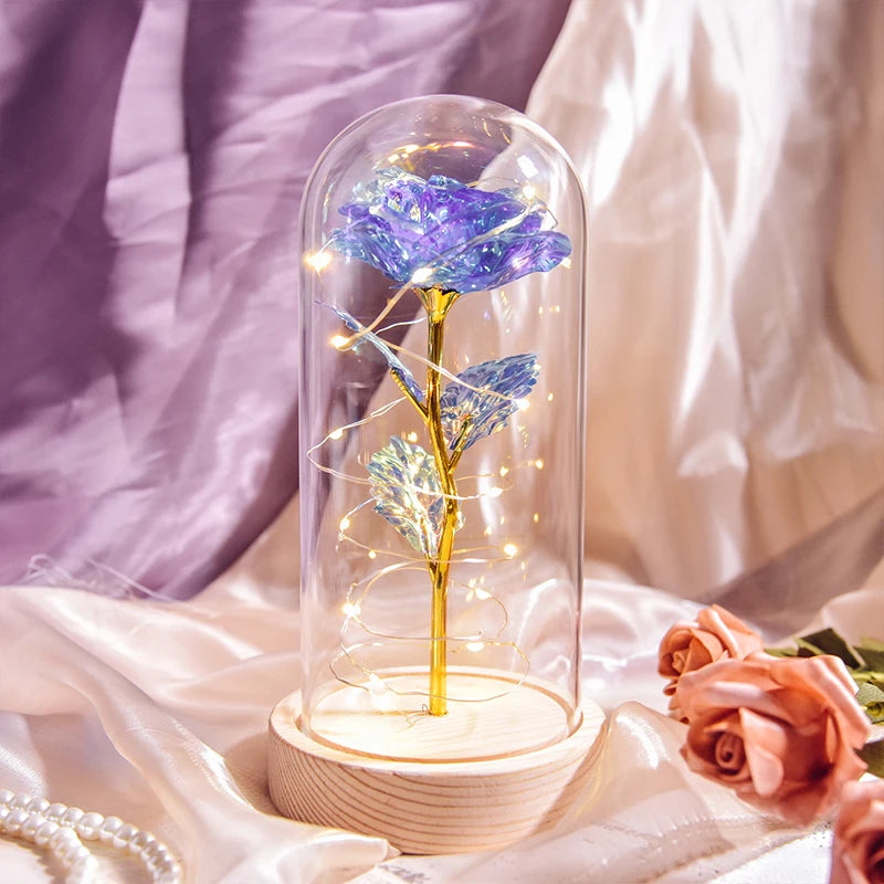 Gifts for Women Beauty and the Beast Preserved Roses in Glass Galaxy Rose LED Light Artificial Flower Birthday Gift for Girls