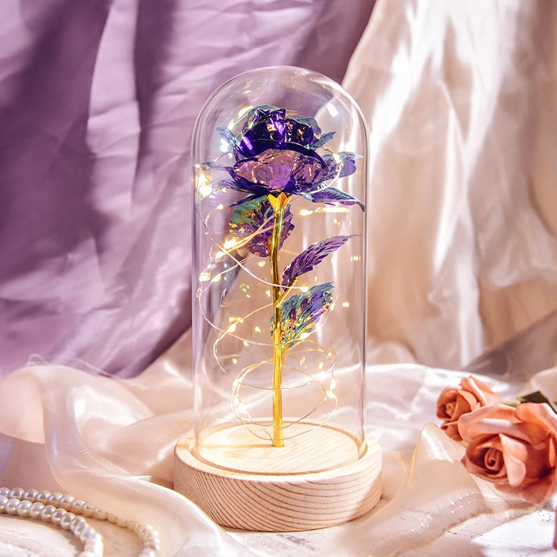 Gifts for Women Beauty and the Beast Preserved Roses in Glass Galaxy Rose LED Light Artificial Flower Birthday Gift for Girls