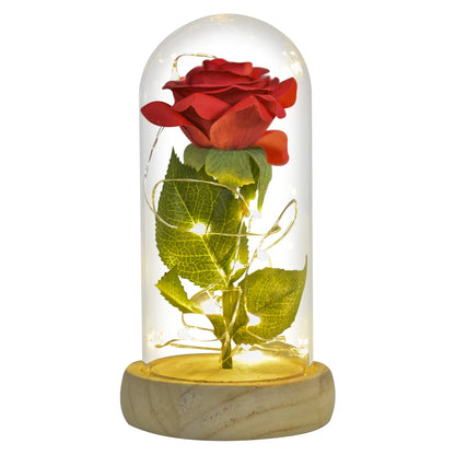 Gifts for Women Beauty and the Beast Preserved Roses in Glass Galaxy Rose LED Light Artificial Flower Birthday Gift for Girls