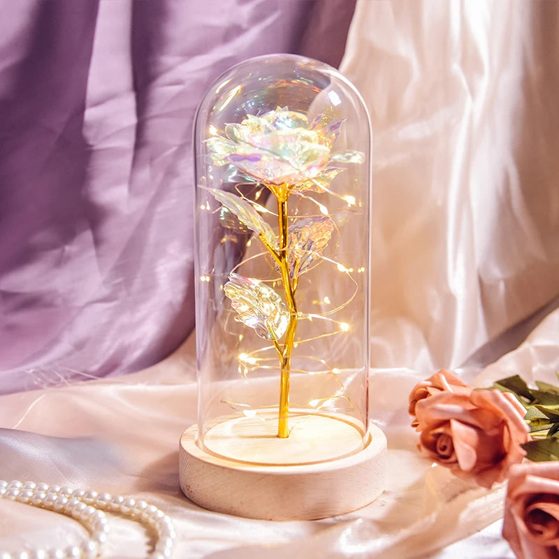 Gifts for Women Beauty and the Beast Preserved Roses in Glass Galaxy Rose LED Light Artificial Flower Birthday Gift for Girls