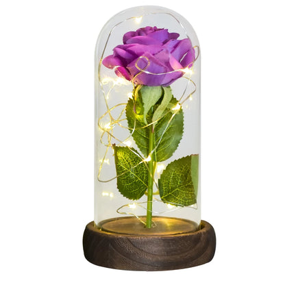 Gifts for Women Beauty and the Beast Preserved Roses in Glass Galaxy Rose LED Light Artificial Flower Birthday Gift for Girls